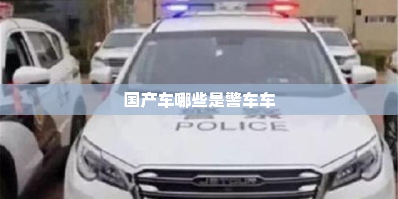 国产车哪些是警车车