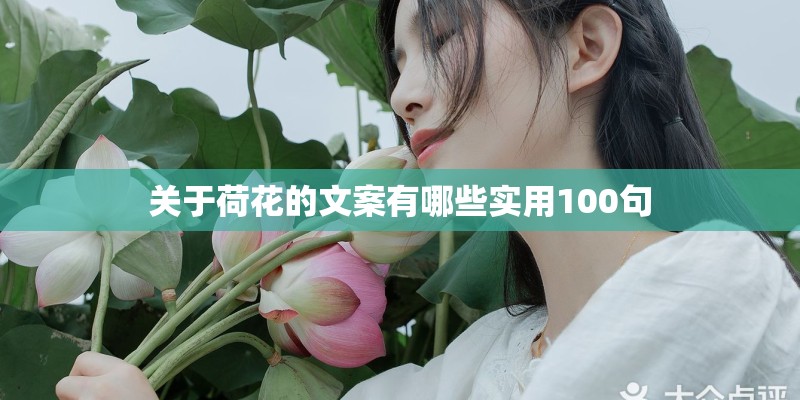关于荷花的文案有哪些实用100句 关于荷花的文案有哪些实用100句