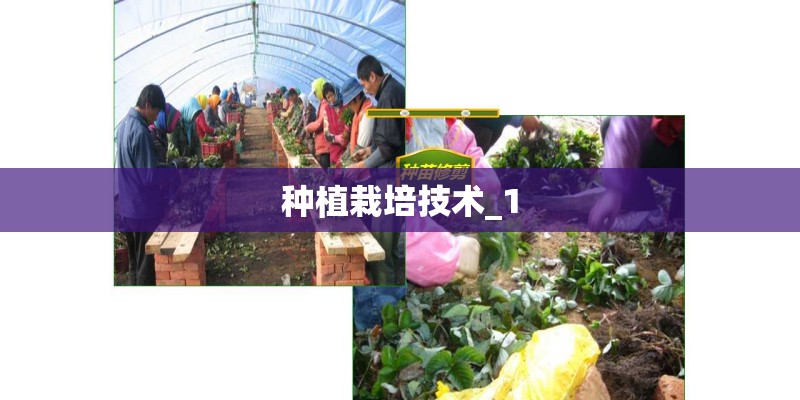 种植栽培技术_1