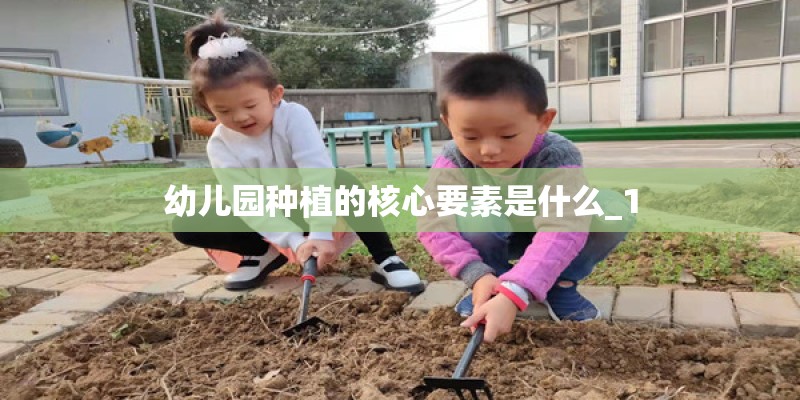 幼儿园种植的核心要素是什么_1