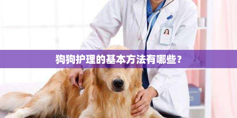 狗狗护理的基本方法有哪些？