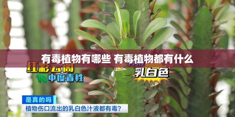 有毒植物有哪些 有毒植物都有什么 有毒植物有哪些 有毒植物都有什么