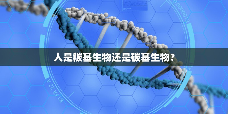 人是羰基生物还是碳基生物? 人是羰基生物还是碳基生物?