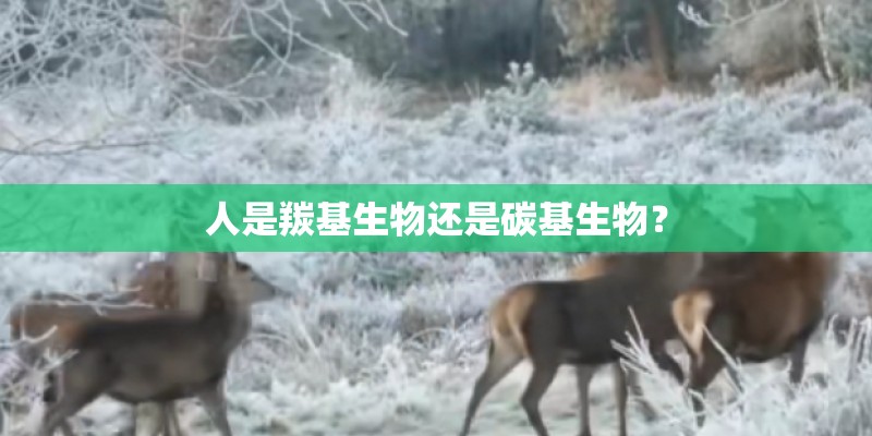 人是羰基生物还是碳基生物? 人是羰基生物还是碳基生物?