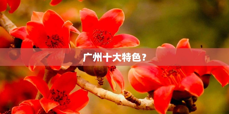 广州十大特色？