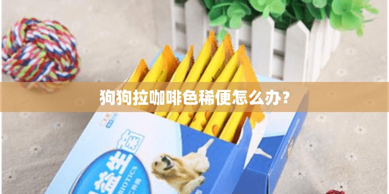 狗狗拉咖啡色稀便怎么办？