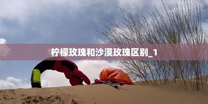 柠檬玫瑰和沙漠玫瑰区别_1