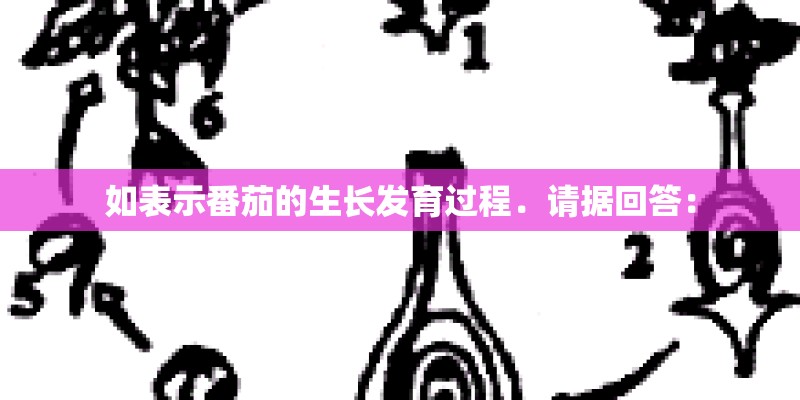 如表示番茄的生长发育过程．请据回答：