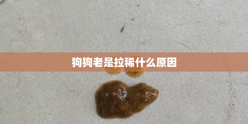 无限试驾2新手车辆选择技巧 无限试驾2新手车辆选择技巧