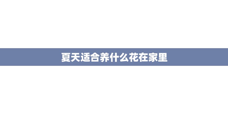 夏天适合养什么花在家里