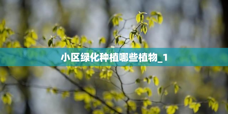 小区绿化种植哪些植物_1