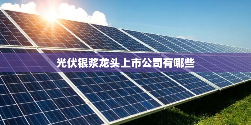 光伏银浆龙头上市公司有哪些 光伏银浆龙头上市公司有哪些