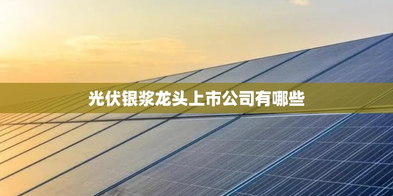 光伏银浆龙头上市公司有哪些 光伏银浆龙头上市公司有哪些