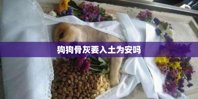 狗狗骨灰要入土为安吗