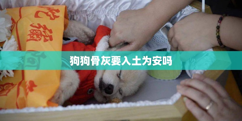 狗狗骨灰要入土为安吗