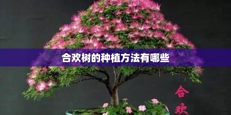 合欢树的种植方法有哪些