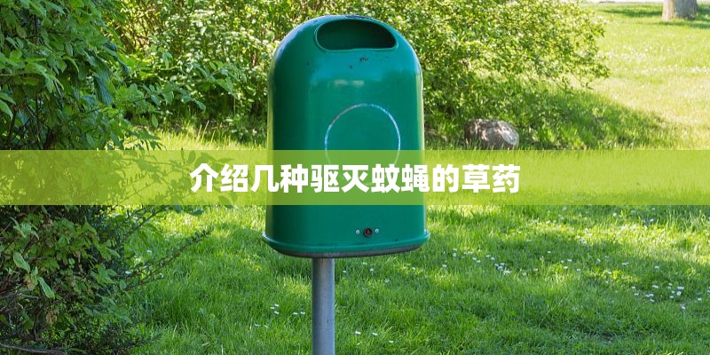 介绍几种驱灭蚊蝇的草药