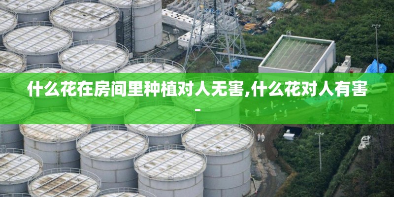 什么花在房间里种植对人无害,什么花对人有害- 什么花在房间里种植对人无害,什么花对人有害-