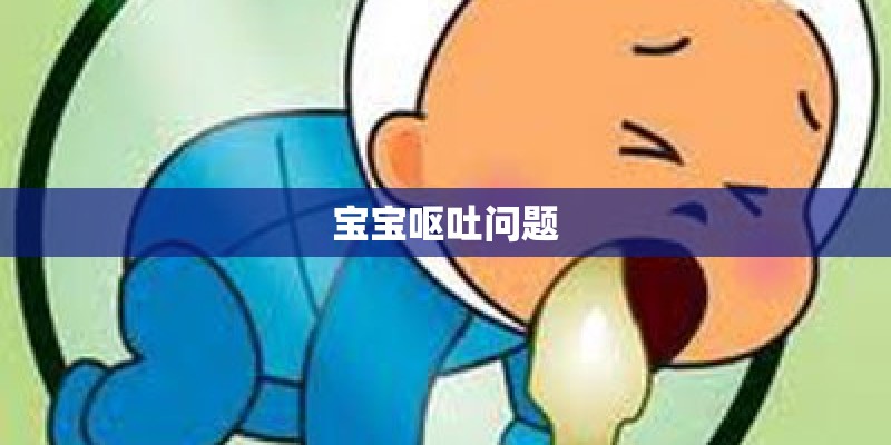 宝宝呕吐问题 宝宝呕吐问题