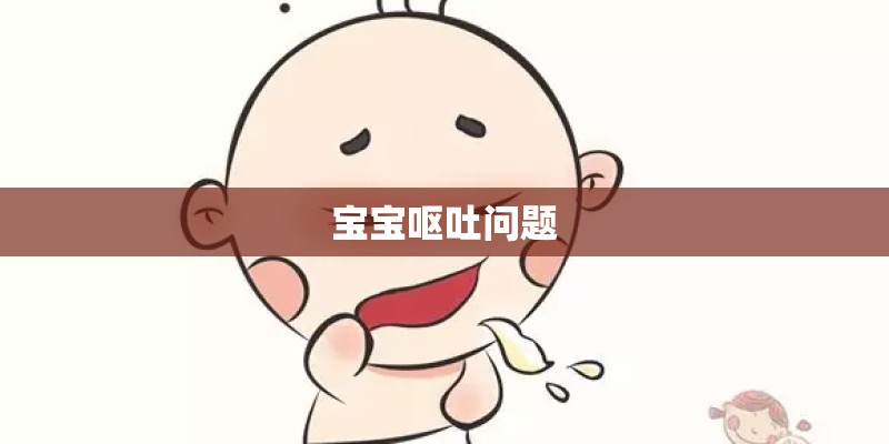 宝宝呕吐问题 宝宝呕吐问题