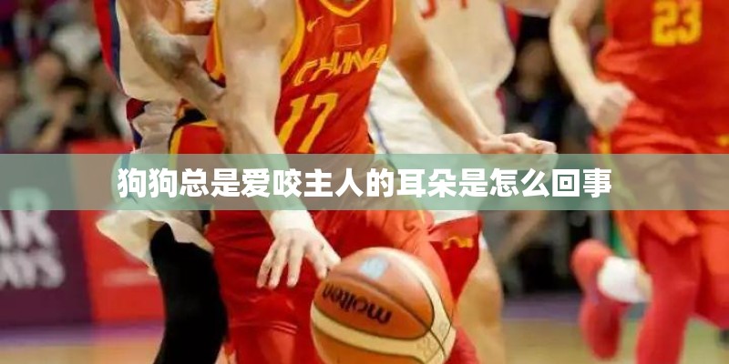 狗狗总是爱咬主人的耳朵是怎么回事