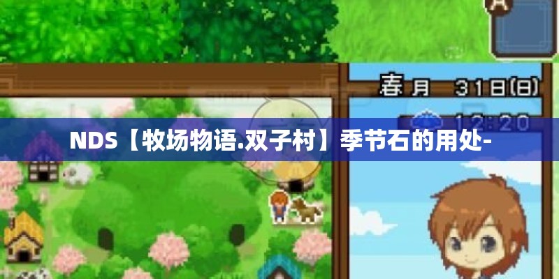 NDS【牧场物语.双子村】季节石的用处-