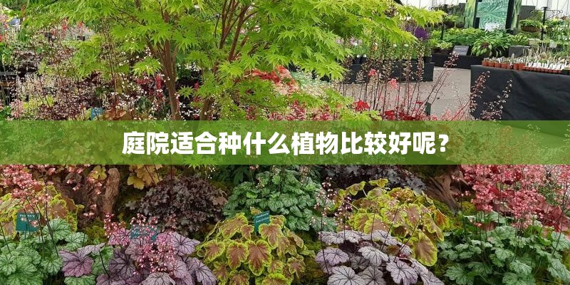 庭院适合种什么植物比较好呢？