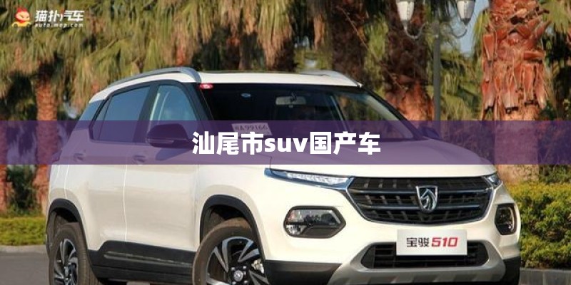 汕尾市suv国产车