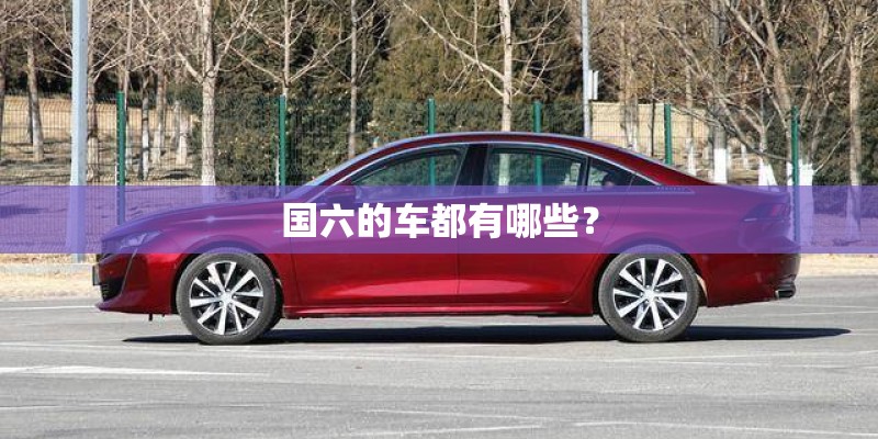 国六的车都有哪些？