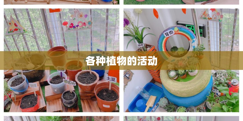 各种植物的活动