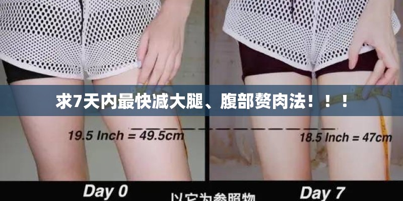 求7天内最快减大腿、腹部赘肉法！！！
