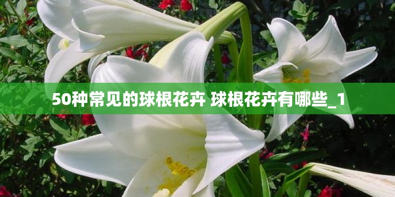 形容秋天美景的优美句子