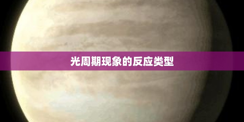 光周期现象的反应类型
