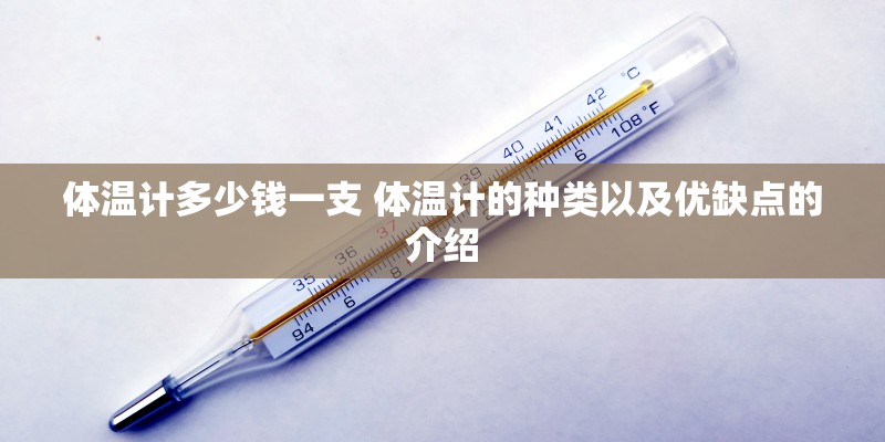 体温计多少钱一支 体温计的种类以及优缺点的介绍