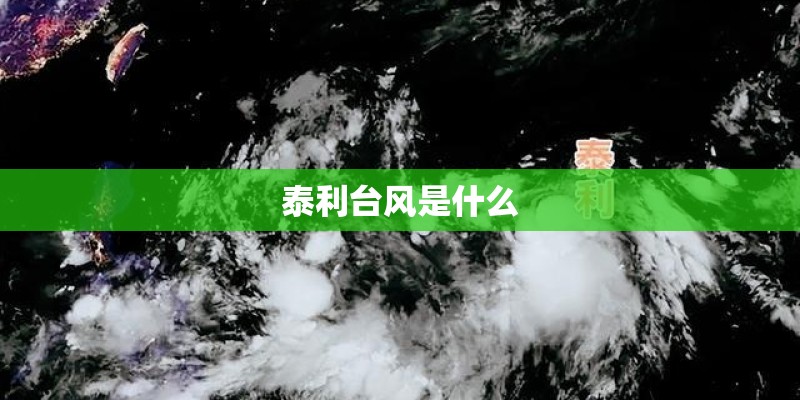 泰利台风是什么