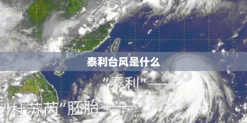 泰利台风是什么