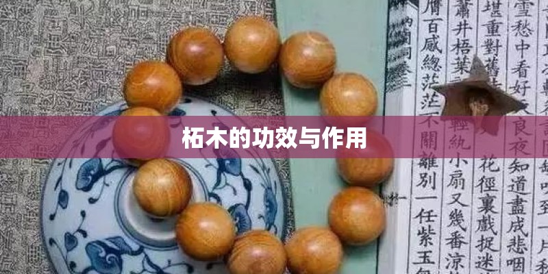 柘木的功效与作用