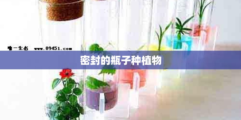 密封的瓶子种植物