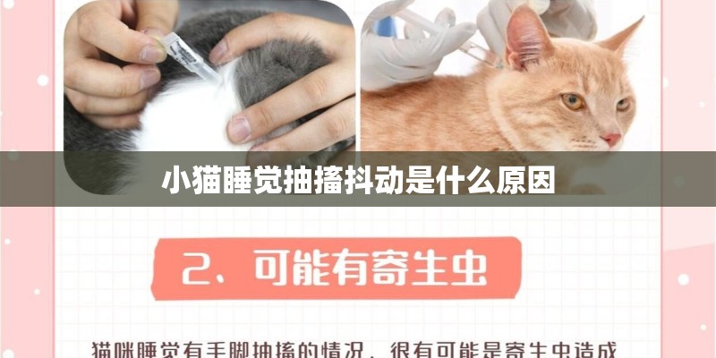 小猫睡觉抽搐抖动是什么原因