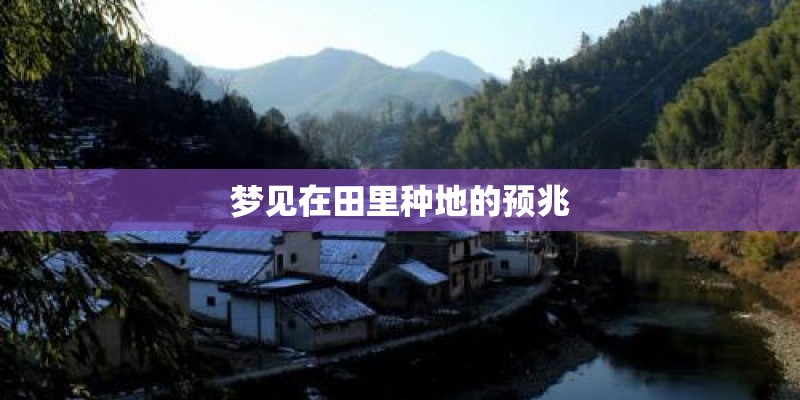 梦见在田里种地的预兆