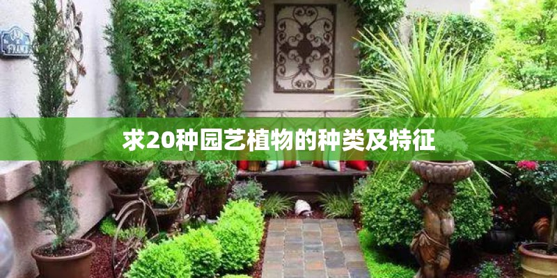 求20种园艺植物的种类及特征 求20种园艺植物的种类及特征