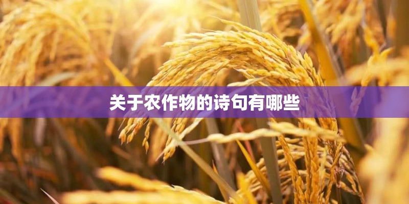 关于农作物的诗句有哪些