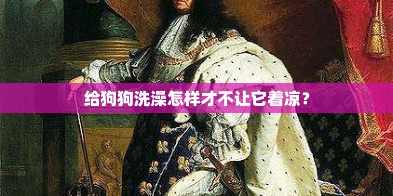 给狗狗洗澡怎样才不让它着凉？