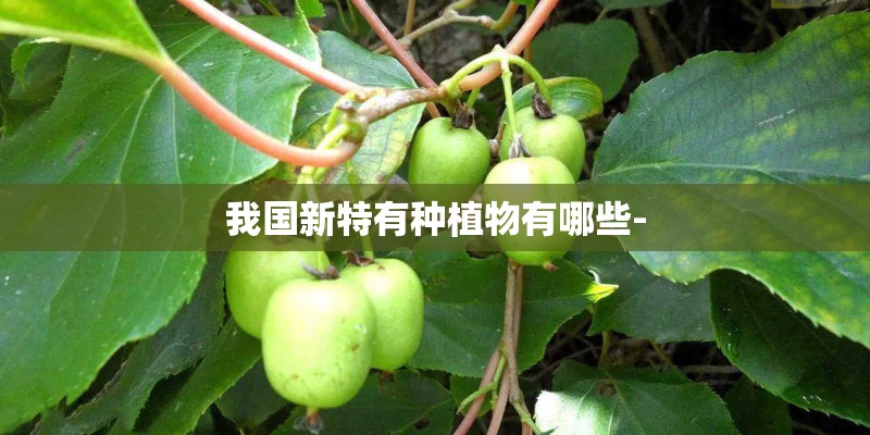 我国新特有种植物有哪些- 我国新特有种植物有哪些-