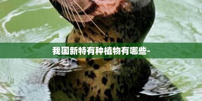 我国新特有种植物有哪些-