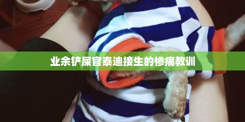 业余铲屎官泰迪接生的惨痛教训
