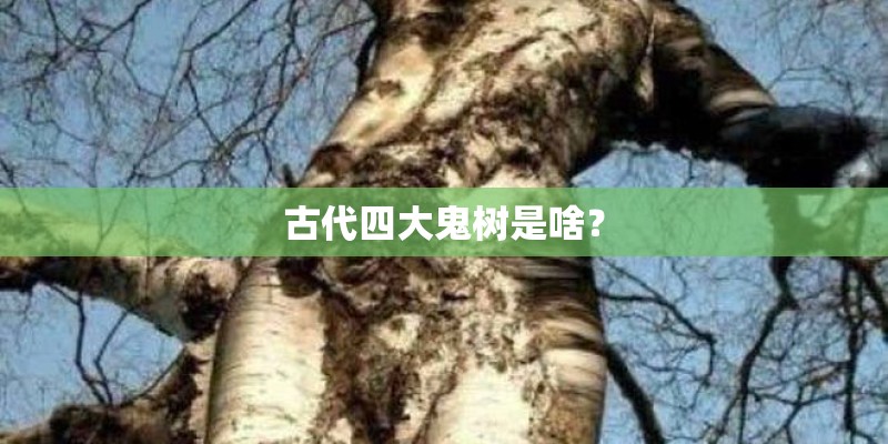 古代四大鬼树是啥？