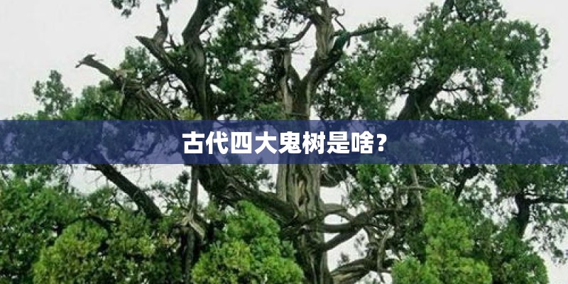 古代四大鬼树是啥？
