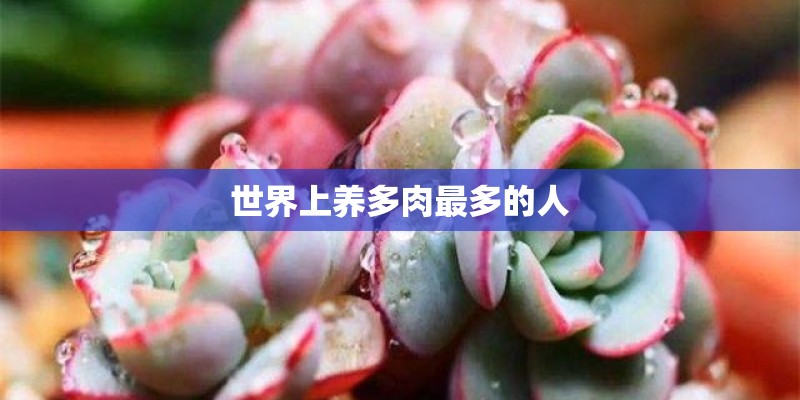 世界上养多肉最多的人