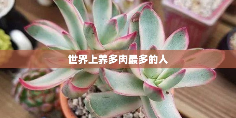 世界上养多肉最多的人